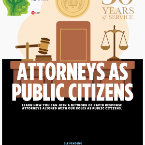 Attorneys as Public Citizens