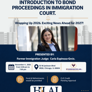 Immigration Bond Proceedings: Understanding the Process and Legal Strategies